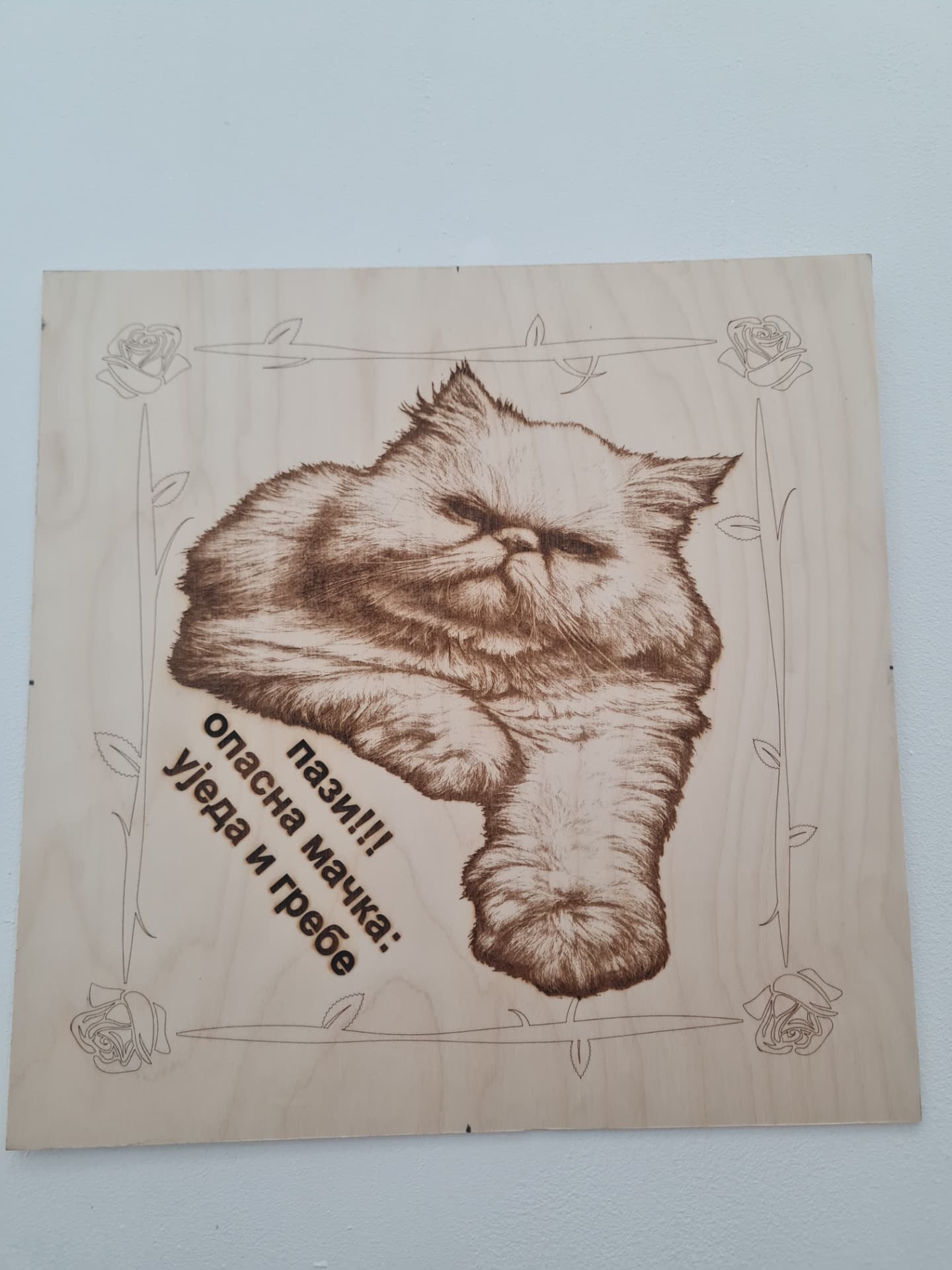 Tabla „Pazi, opasna mačka“