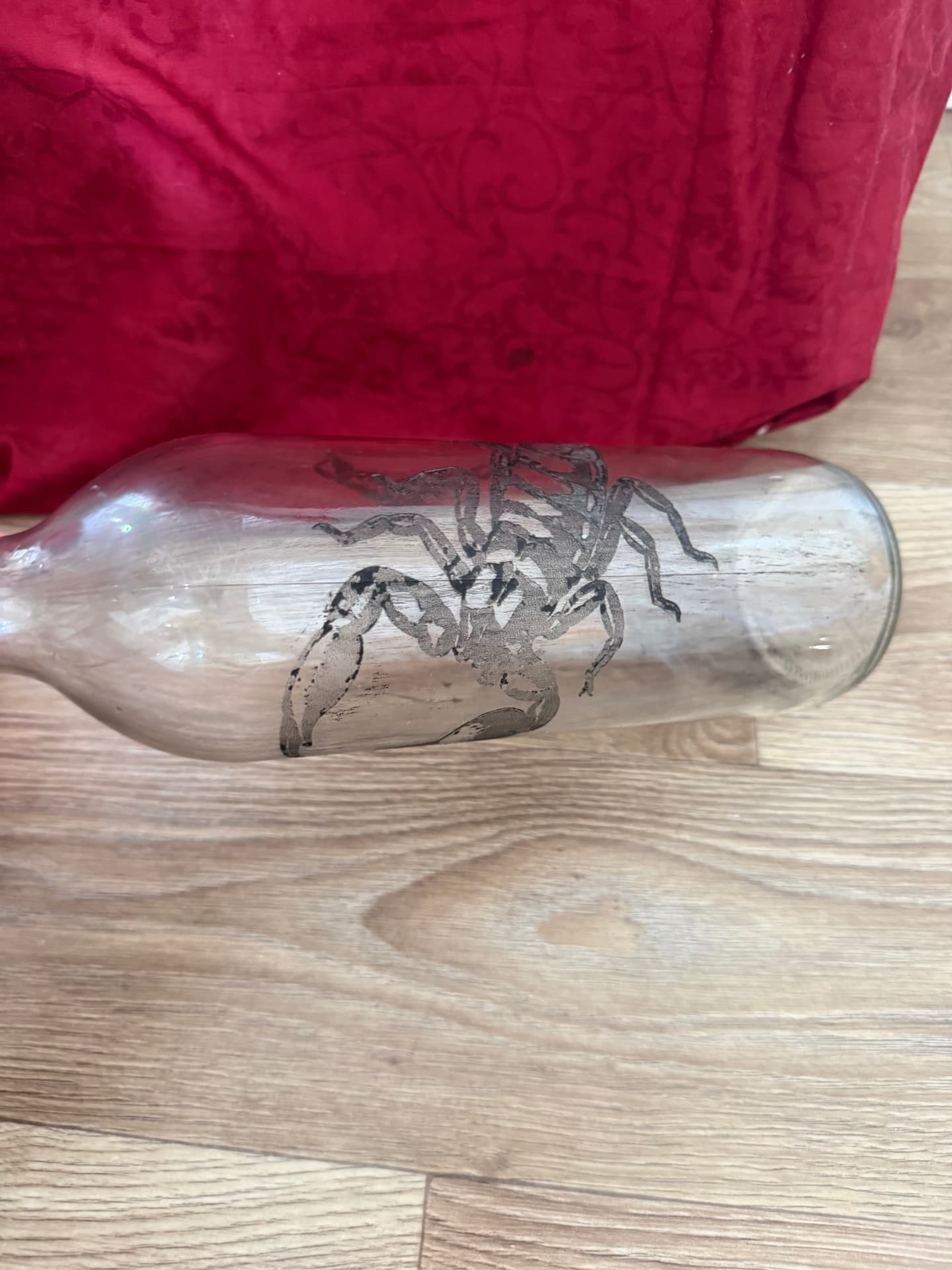 Flaša sa škorpijom